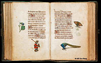 click to enlarge