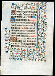 click to enlarge