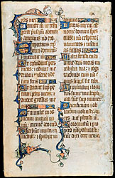 click to enlarge