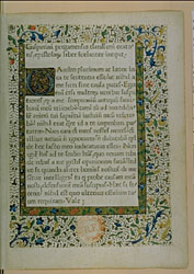 click to enlarge